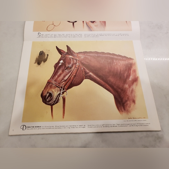 Horses Heads In Oils and Pastels by Don Schwartz - Picture 9 of 12